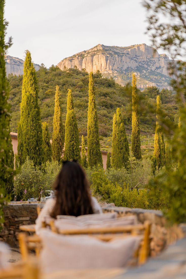 Cypress trees and the Montsant cliffs